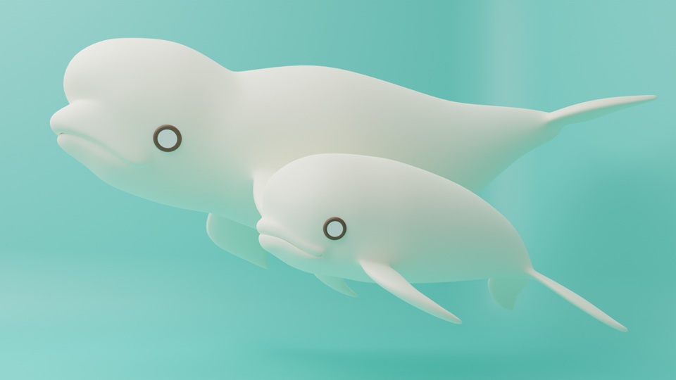 チロ、師兄と泳ぐ